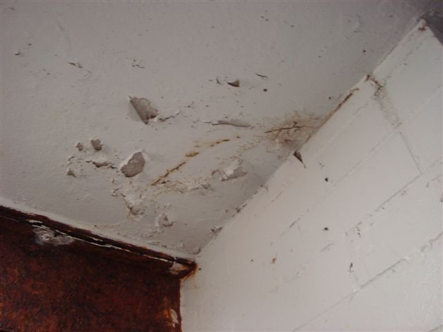Peeling Lead Based Paint